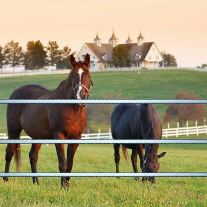 Poly Tape Electric Fence 8 Stainless Steel Conductors - 656 Feet Roll - 1 Inch White and Black Polytape for Animal Fencing Horse Farms or Ranch Electric Fence - size: 1'' x 656ft