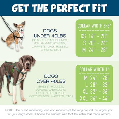 2 Hounds Design Freedom No Pull Dog Harness and Leash, 1" MD, Hot Pink - color: Hot Pink, size: 1" MD (Chest 24" - 28")