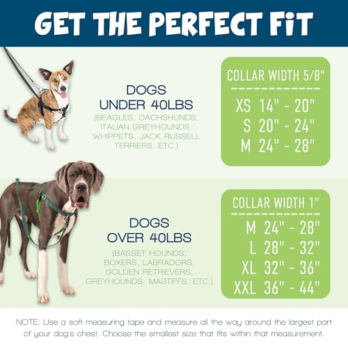 2 Hounds Design Freedom No Pull Dog Harness and Leash, 1" MD, Burgundy - color: Burgundy, size: 1" MD (Chest 24" - 28")
