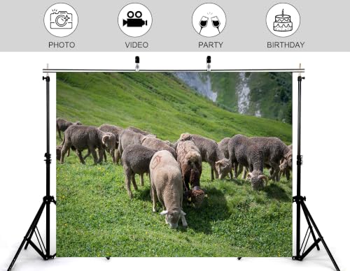 9x6ft Horned Wool Sheep Herd Backdrop Green Alpine Meadow Wild Yellow Flower Photography Background Tapestry Party Mountain Wildlife Scenery Decorations Banner Photo Booth Props - size: 9x6ft
