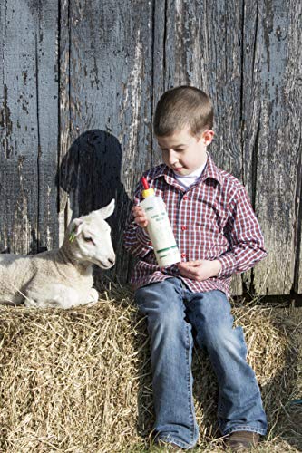 Neogen Ideal 7004 Lamb & Kid Bottle 16oz w/Red Screw-On Teat