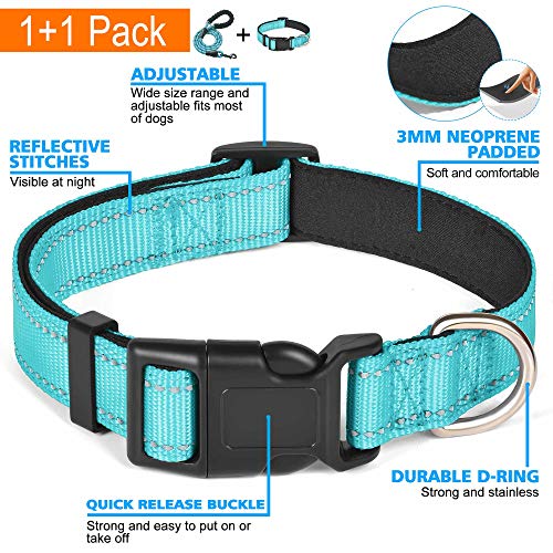 Ladoogo Reflective Dog Collar Padded with Soft Neoprene Breathable Adjustable Nylon Dog Collars for Small Medium Large Dogs (X-Small (Pack of 1), Turquoise Collar+Leash) - color: Turquoise, size: X-Small