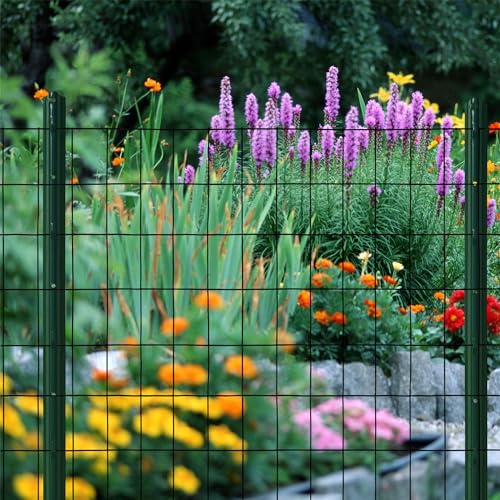 Black PVC Coated Welded Wire Mesh Garden Economy Fence 36 Inch x 50 Foot-3 Inch x 2 Inch 16GA - color: Black, size: 36"x50\'-3"x2" 16GA