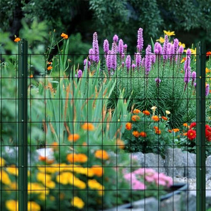 Black PVC Coated Welded Wire Mesh Garden Economy Fence 36 Inch x 50 Foot-3 Inch x 2 Inch 16GA - color: Black, size: 36"x50\'-3"x2" 16GA