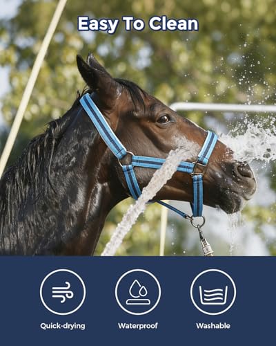 Hilltown Adjustable Horse Halter - color: BLUE, size: Full