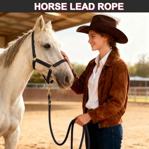 5/8" x 8' Nylon Horse Lead Rope with Cast Iron Hardware (Black) - color: Black