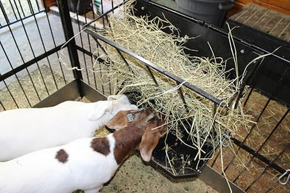 Premium Wall-Mount Metal Hay Feeder for Goats and Sheep - Essential Goat Supplies and Accessories for Barns, Pens, and Livestock Shelters.