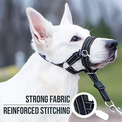 GoodBoy Dog Head Halter with Safety Strap - Stops Heavy Pulling On The Leash - Padded Headcollar for Small Medium and Large Dog Sizes - Head Collar Training Guide Included (Size 2, Black) - color: Black Nylon / Black Padding, size: Size 2 (Pack of 1)