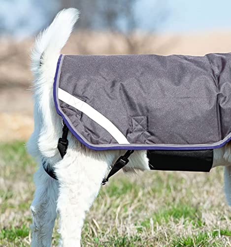 Horseware® Goat Rug - Excalibur/Silver & Strong Blue & Black, S - color: Excalibur/Silver & Strong Blue & Black, size: Small