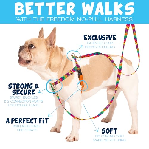 2 Hounds Design Freedom No Pull Dog Harness and Leash, 5/8" SM, Neon Green - color: Neon Green, size: SM (Chest 20" - 24")