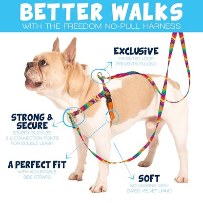 2 Hounds Design Freedom No Pull Dog Harness and Leash, 1" XXL, Burgundy - color: Burgundy, size: XXL (Chest 38" - 44")