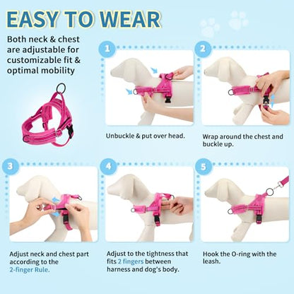 SlowTon No Pull Small Dog Harness and Leash Set with Front Clip | Soft Padded, Neck & Chest Adjustable, Lightweight, Anti-Twist, Puppy Vest Harness Pet Lead Combo for Small Medium Dog, FU XS - color: Fuchsia, size: X-Small