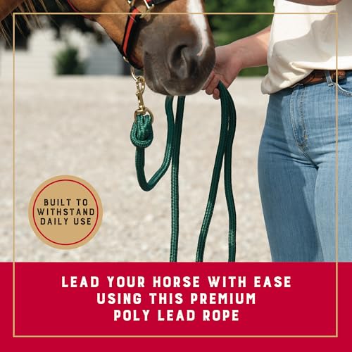 Weaver Equine 10' Performance Lead Rope, Brass-Plated Snap - color: Hunter Green