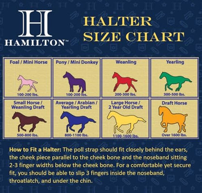 Hamilton Deluxe Adjustable Horse Halter, 800-1100 lbs, Wine - color: Wine, size: Average, 800-1100lbs