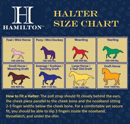 Hamilton Quality Rope Horse Halter & Lead, 800-1100 lbs, Black/Wine Weave - color: Black/Wine