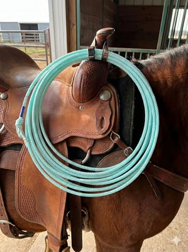 Prairie Horse Supply Rope Holder Strap for Saddle - Elastic Nylon 3/4 x 15 Inch - Western, Roping, Trail Saddles - Fits 3/8 to 5/8 Lariat Rope - Black