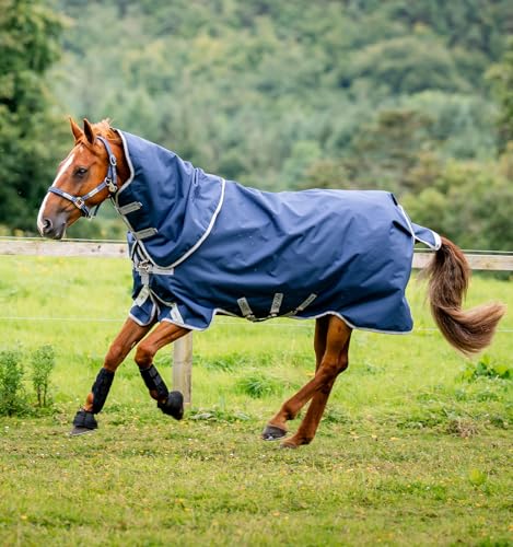 Horseware® Amigo® Bravo 12 Plus Turnout 250g - Navy/Titanium Grey & Silver, 66 inches - color: Navy/Titanium Grey & Silver, size: 66 inches