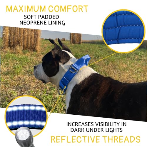 ADITYNA Heavy Duty Dog Collar for Medium Dogs with Traffic Handle - color: Royal Blue, size: Medium: Fit 15-19" Neck