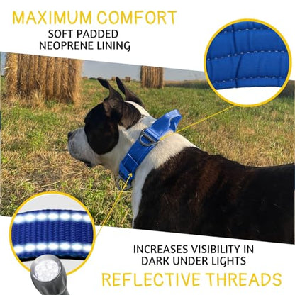 ADITYNA Heavy Duty Dog Collar for Medium Dogs with Traffic Handle - color: Royal Blue, size: Medium: Fit 15-19" Neck