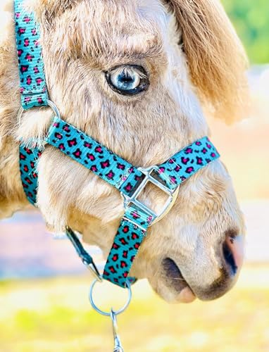 Star Point Horsemanship Rainbow Cheetah Halter - size: Small Yearling Mini