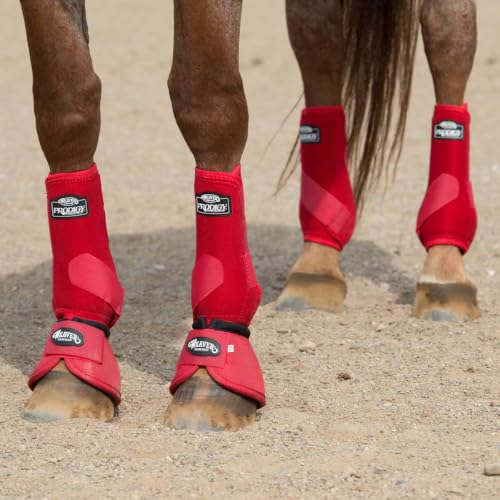 Weaver Leather 4-pack Horse-boots, Turquoise, Medium US