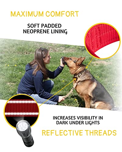 ADITYNA Heavy Duty Red Dog Collar for Medium Dogs with Traffic Handle - color: Red, size: Medium: Fit 15-19" Neck