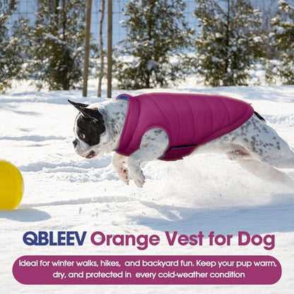 QBLEEV Reversible Dog Jacket, Windproof Dog Coat, Lightweight Puffer Vest - color: Violet-Blue, size: Small