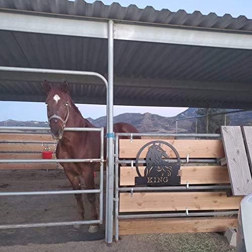 RealSteel Personalized Horse Ranch Sign - Custom Metal Farmhouse Western Wall Art, Rustic Barn & Stable Name Sign, Indoor Outdoor Steel Decor, Unique Gift for Horse Lovers, Ranch & Farm Homes