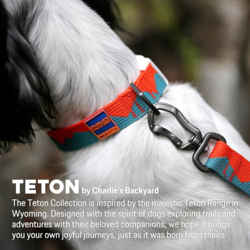 Charlie’s Backyard Teton Dog Collar, Urban to Trail Lightweight & Adjustable with Quick Release DURAFLEX Buckle, Durable D-Ring & All-Day Comfort, Sunset Peaks, Large - color: Sunset Peaks, size: Large