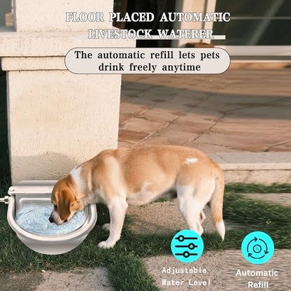 Automatic Dog Water Dispenser with Drain Hole & Drain Valve, Stainless Steel Auto Dog Water Bowl with 2 Float Valves, Hose Quick Connect Fitting, for Livestock, Chicken, Horse (1 Gallon) - size: 1 Gallons