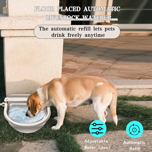Automatic Dog Water Dispenser with Drain Hole & Drain Valve, Stainless Steel Auto Dog Water Bowl with Float Valve, Hose Quick Connect Fitting, for Livestock, Chicken, Horse (1 Gallon)