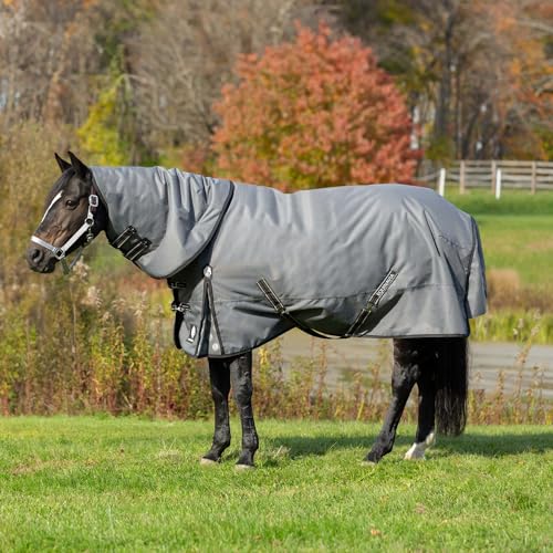 Equinavia Arktis Regular Neck Turnout Sheet - Carbon Gray - 75 in - color: Carbon Gray, size: 75 in