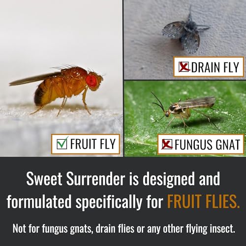 Dr. Killigan’s Fruit Fly Refill Liquid, Long-Lasting Protection, 16 oz | Works with Apple Traps, Made in USA, Safe for Everyday Family Use (when used as directed)