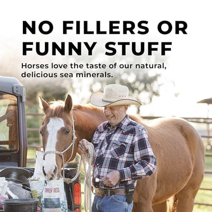 Daily Red Complete Wellness, Fortified Mineral Mix Supplement for Horses (5 LB) - size: 5 LB