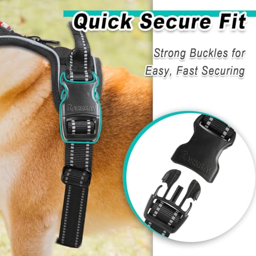 BARKBAY Dog Harness for Small Sized Dog No Pull 2 Leash Clips Dog Vest - color: Black, size: X-Small