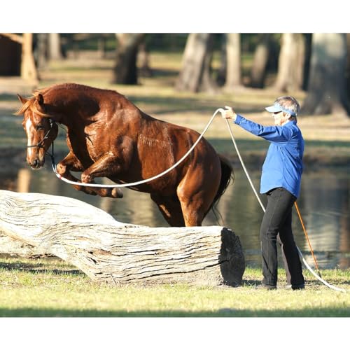 PARELLI 22 Foot Line Ground Training Rope - Strong Everyday Use All-Purpose Large Horse Lead Rope with Loop & Latigo Popper | 9/16" Diameter Smooth Yachting Braid, Vaquero - color: Vaquero