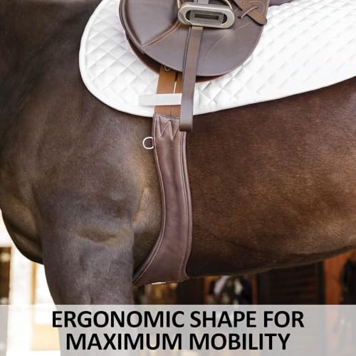 Schneiders Anatomical Leather English Jump Girth for Horses | Aniline Calfskin | Carabiner Clip | Dual Elastic Ends | Stainless Hardware - size: Horse Size 44