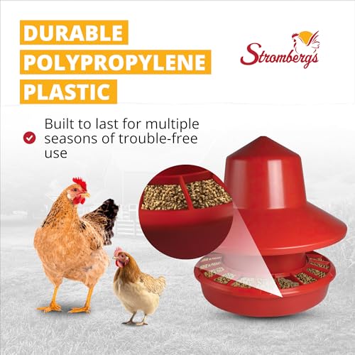 Stromberg's 50 lb Rain Shield Feeder, Large Capacity Range Feeder, Durable One-Piece Plastic Lid and Shield, Easy-Fill Design, Feed-Saving Grill, 24" Overall Height, 22" Pan Diameter
