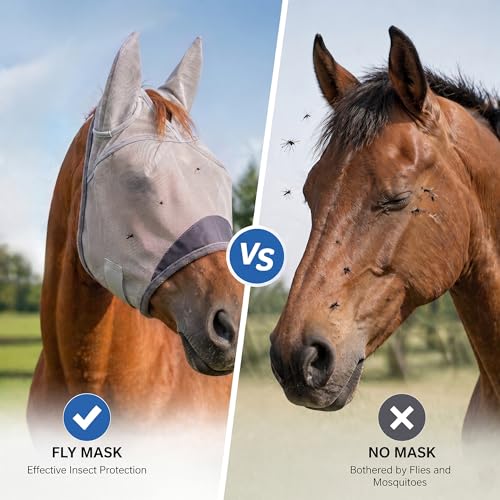 Horse Fly Mask, Super Comfort Fly Masks for Horses, Adjustable UV Protection Breathability Horses Fly Masks with Ears, Pony Mini Equine Fly Mask for Miniature Foal Draft Cob Srabian Full (Gray, M) - size: M