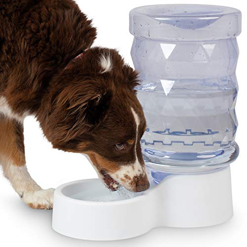 PetFusion H2O Gravity Pet Water Dispenser, 2.5 Gallon, Transparent
