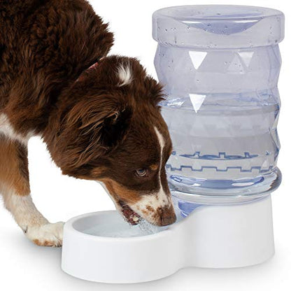PetFusion H2O Gravity Pet Water Dispenser, 2.5 Gallon, Transparent