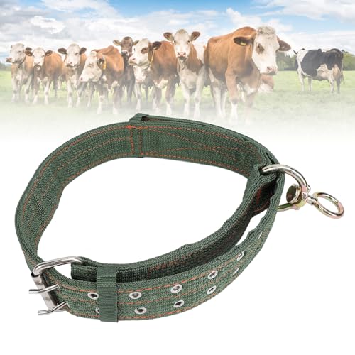 Cattle Collar, Nylon Thickened Heavy Duty Cow Show Collar with Metal Buckle and Traction Chain, Heavy Duty Cattle Show Collar Collar Thickened Neck Wrap for Horse Dog (Large Size)