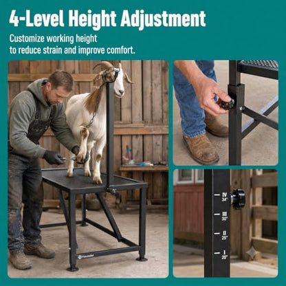 Sheep Grooming Table, 650 LBS Adjustable Goat Milking Stand, Black - color: Black