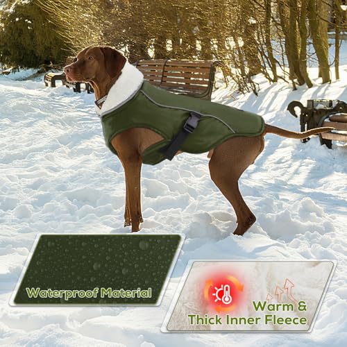 EMUST Dog Winter Coat, Waterproof Fleece Dog Jacket Winter for Medium Dogs - color: Green, size: Medium