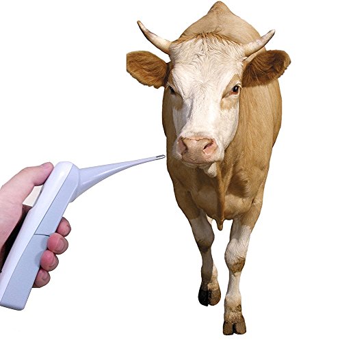 Animal Electronic Ehermometer Pet Thermometer Digital Thermometer is a Fast Rectal Thermometer for Dogs,Horse, Cats, Pigs,Sheep