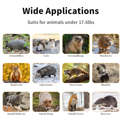 Timaze 40" Large Double-Door Live Animal Traps Cage | Foldable Animal Trap with Pedal Triggers,suitable for stray cats, raccoons, rabbits weighing up to 17.6 pounds