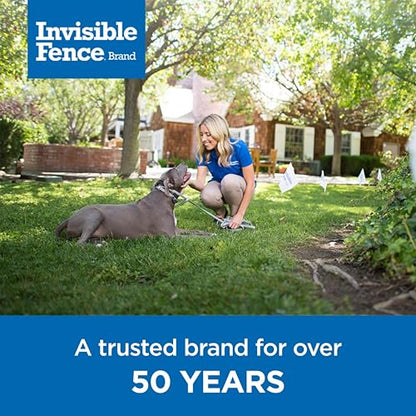 Invisible Fence Brand Power Cap Battery, 1-Pack - style: 1 Pack