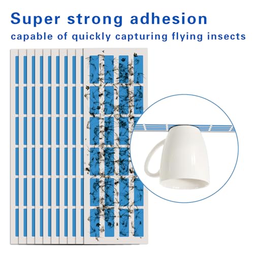 10 PCS Sticky Boards Commercial Fruit Fly Zapper Trap Indoor for Restaurant - style: 10 PCS Sticky Boards