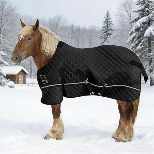 48in Pony/Mini Horse/Foal/Miniature Horse Blanket, 200g