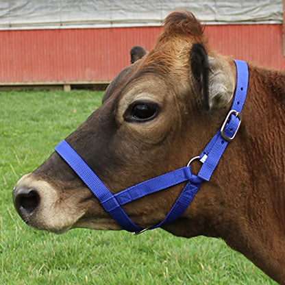 Derby Originals Adjustable Nylon Livestock Cattle Halters - color: Black, size: Medium (500-800lbs)